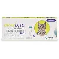 Bravecto Topical Solution for Cats - Yellow, For Cats 2.6 to 6.2 lbs.